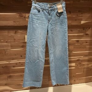 NWT Madewell The Mid-Rise Perfect Vintage Wide-Leg Jean size 25